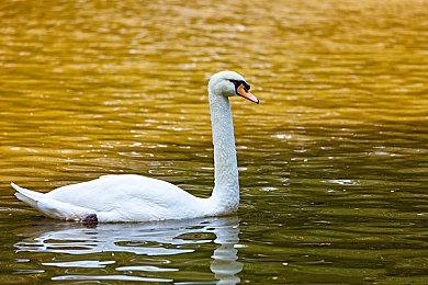 PS5独占肉鸽《死亡回归》大型更新已进入B测阶段