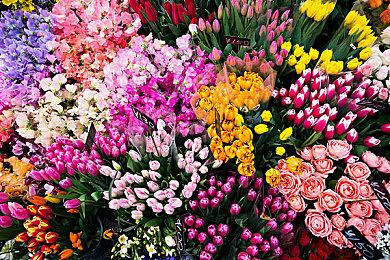 《Fate＆hollow ataraxia高清重制》宣布 登陆Switch和PC